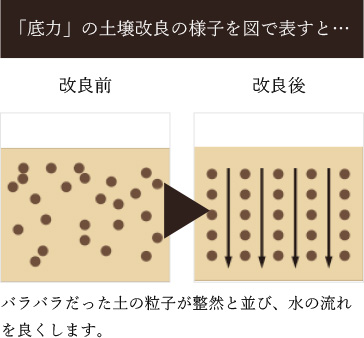 生体エネルギーの技術「同化力」の操作